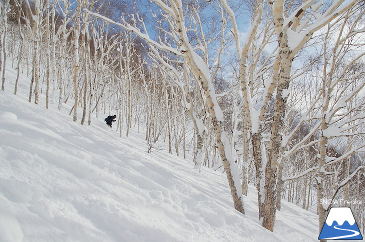 児玉毅×山木匡浩 b.c.map POWDER HUNTING in NISEKO 2018！